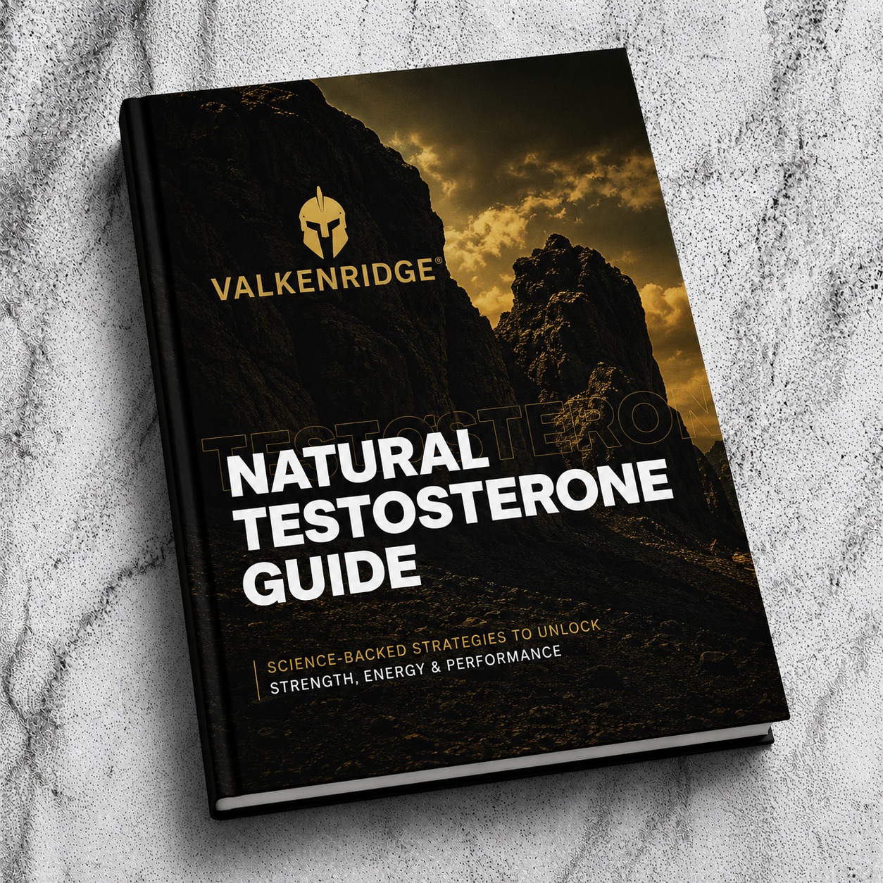 Valkenridge® Testosterone E-book