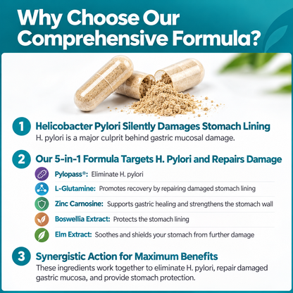 Fluvia™ 5-in-1 Gut Wellness Probiotic Capsules