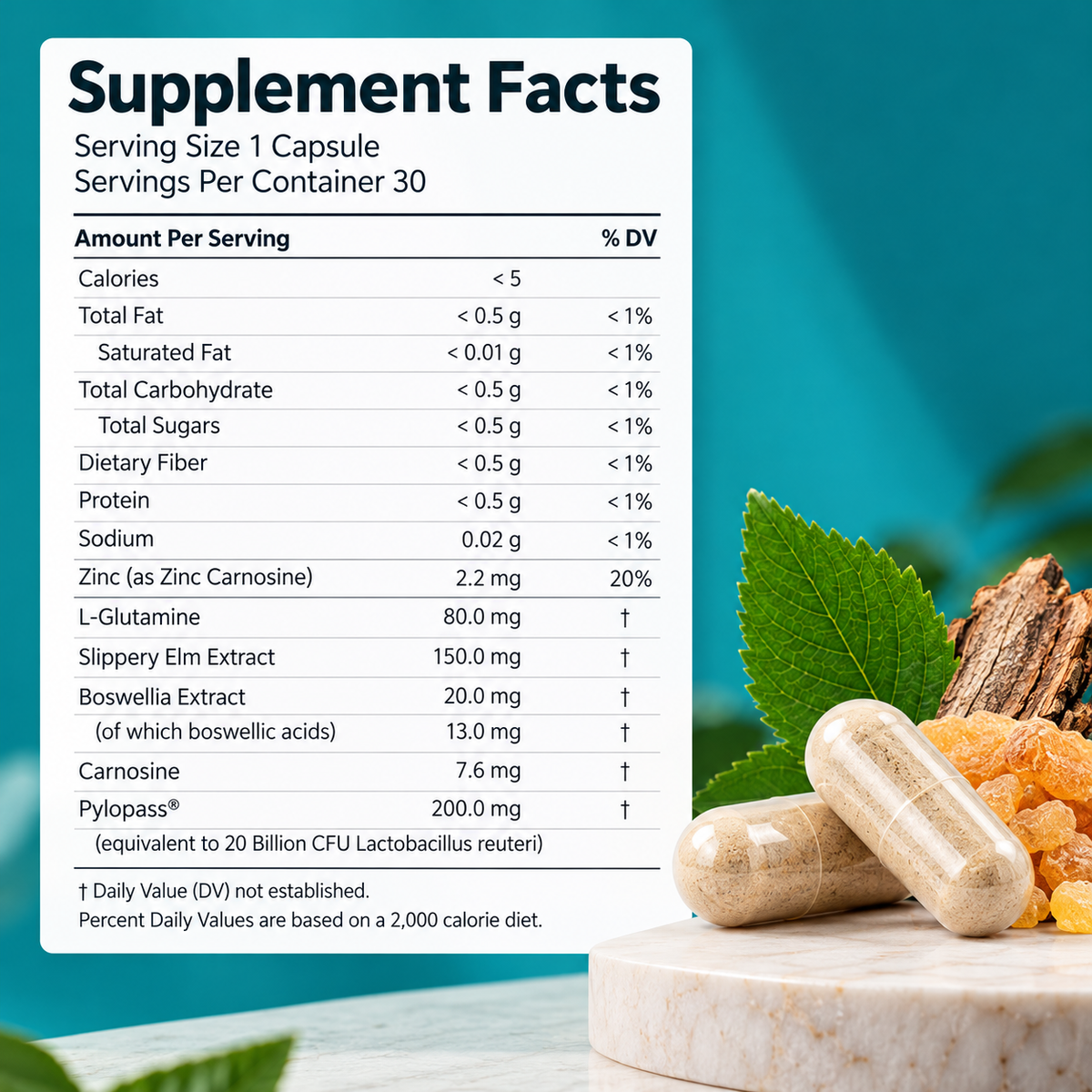 Fluvia™ 5-in-1 Gut Wellness Probiotic Capsules